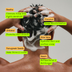 Scalp Savior Bundle - Hair oil and Shampoo