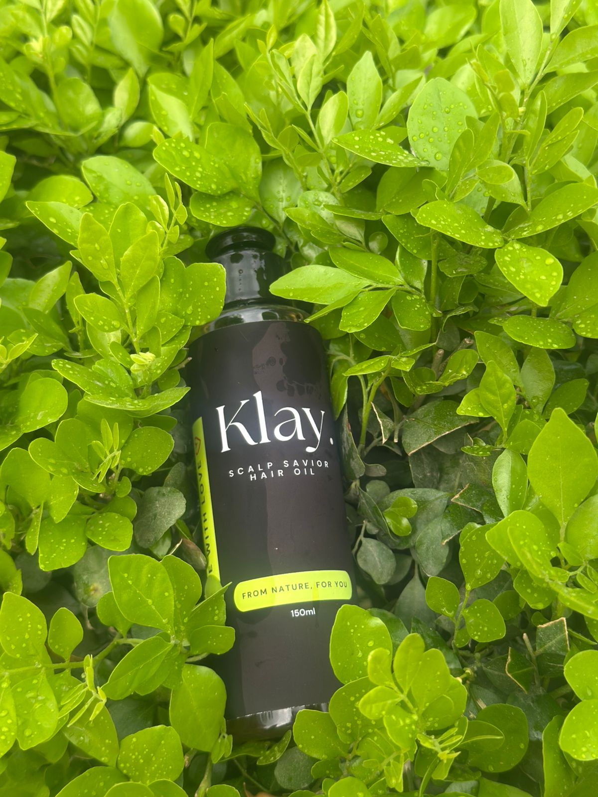 Scalp Savior Hair Oil - 150ml